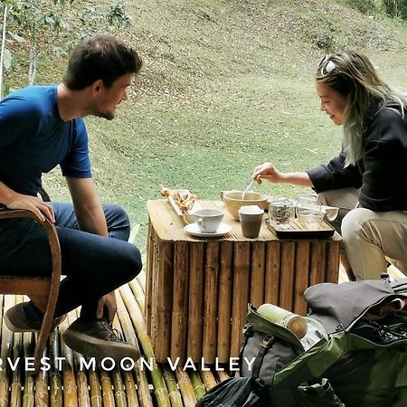 Harvest Moon Valley Ban Pang Luang 外观 照片