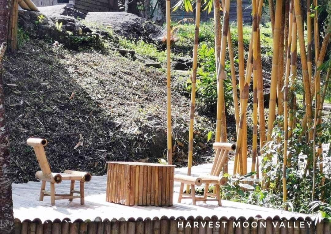 Harvest Moon Valley Ban Pang Luang 外观 照片