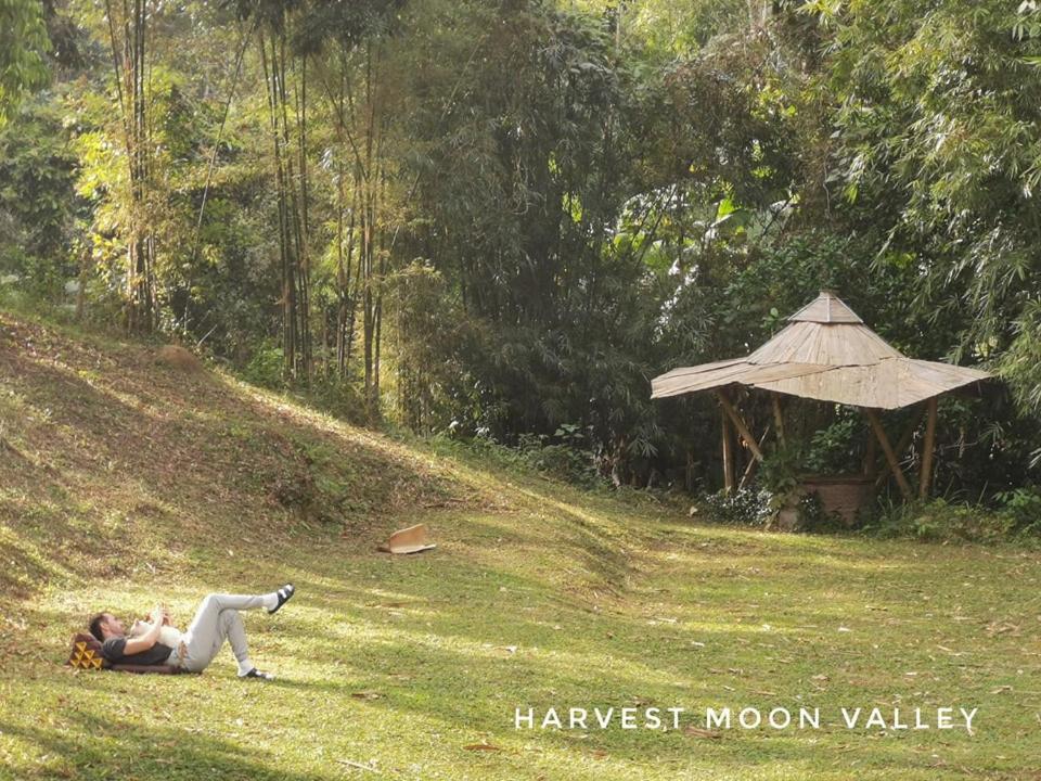 Harvest Moon Valley Ban Pang Luang 外观 照片